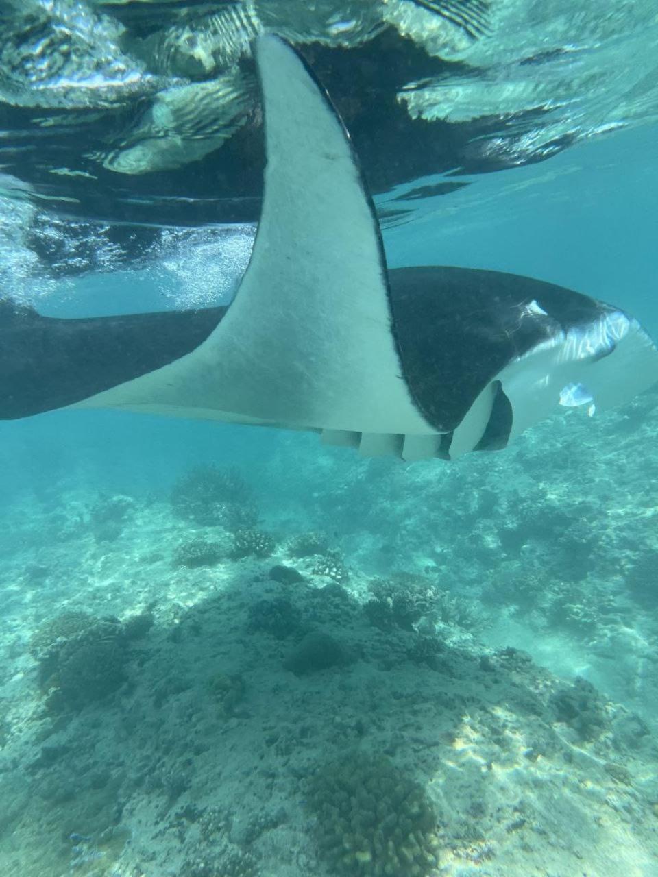 Mamello Beach Club Maldives Feridhoo Екстериор снимка