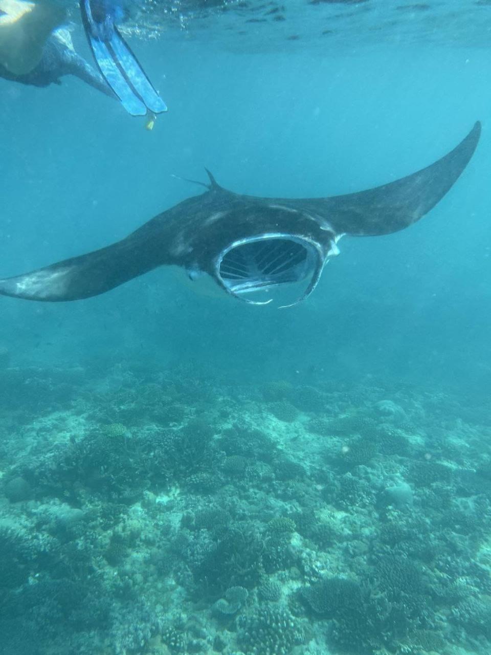 Mamello Beach Club Maldives Feridhoo Екстериор снимка