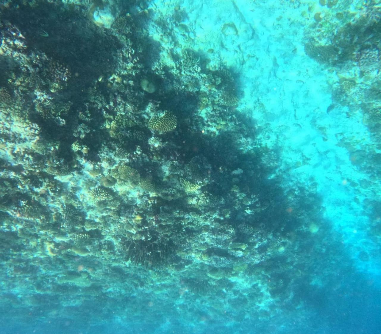 Mamello Beach Club Maldives Feridhoo Екстериор снимка