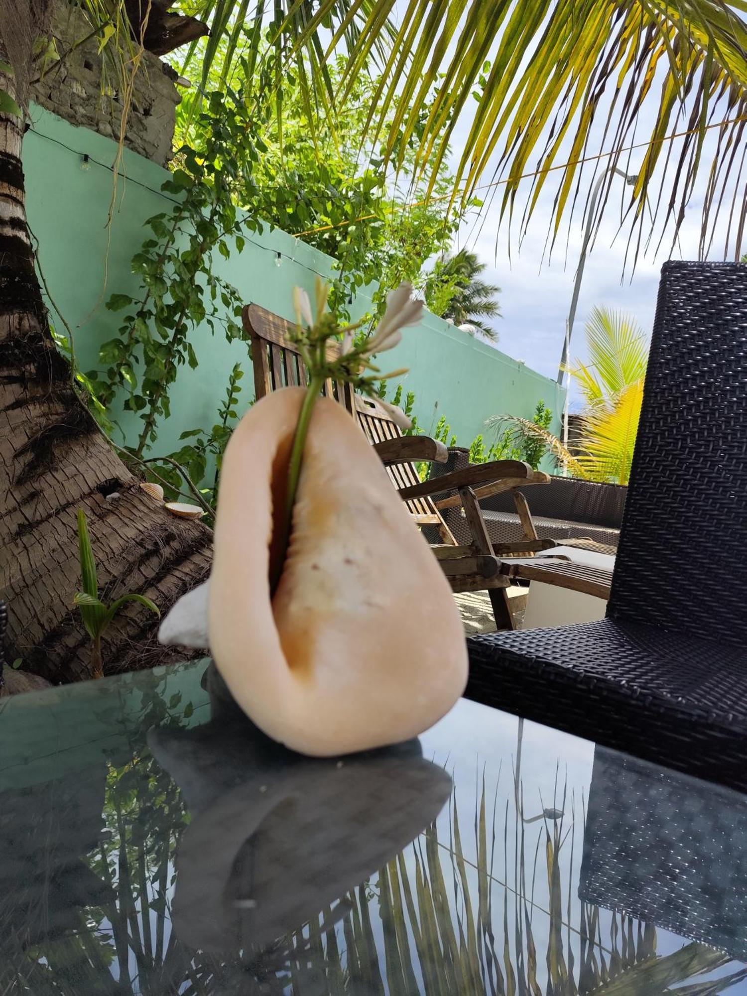 Mamello Beach Club Maldives Feridhoo Екстериор снимка